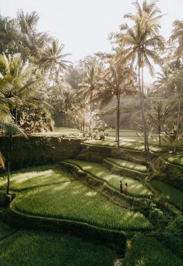 Lod Ubud Villa 0*, Ubud (Bali)