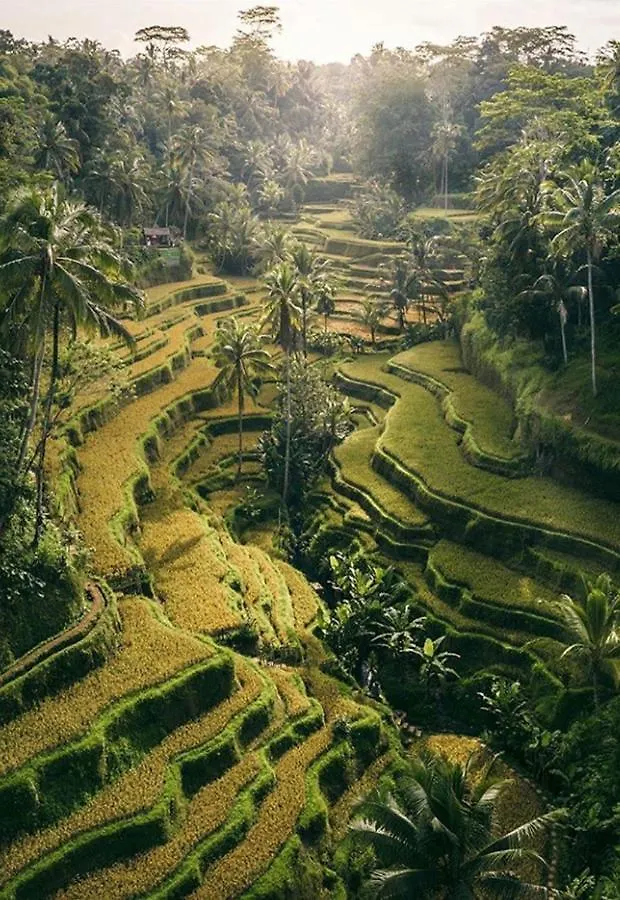 Lod Ubud Villa