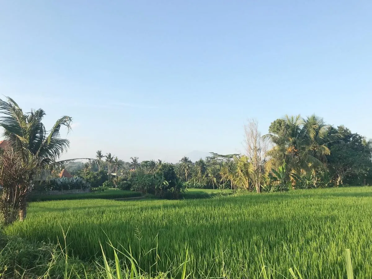 Lod Ubud Villa 0*, Ubud (Bali) Indonesia