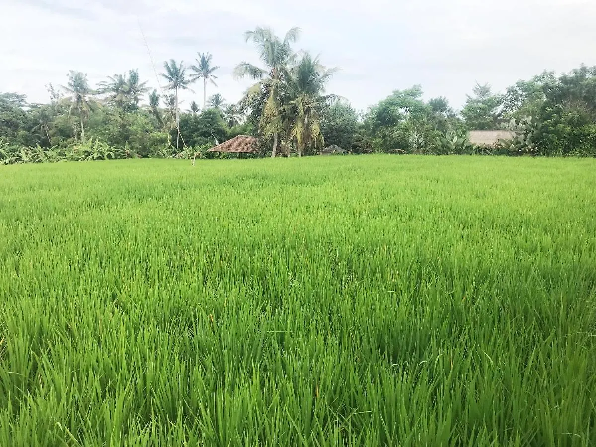 Lod Ubud Villa
