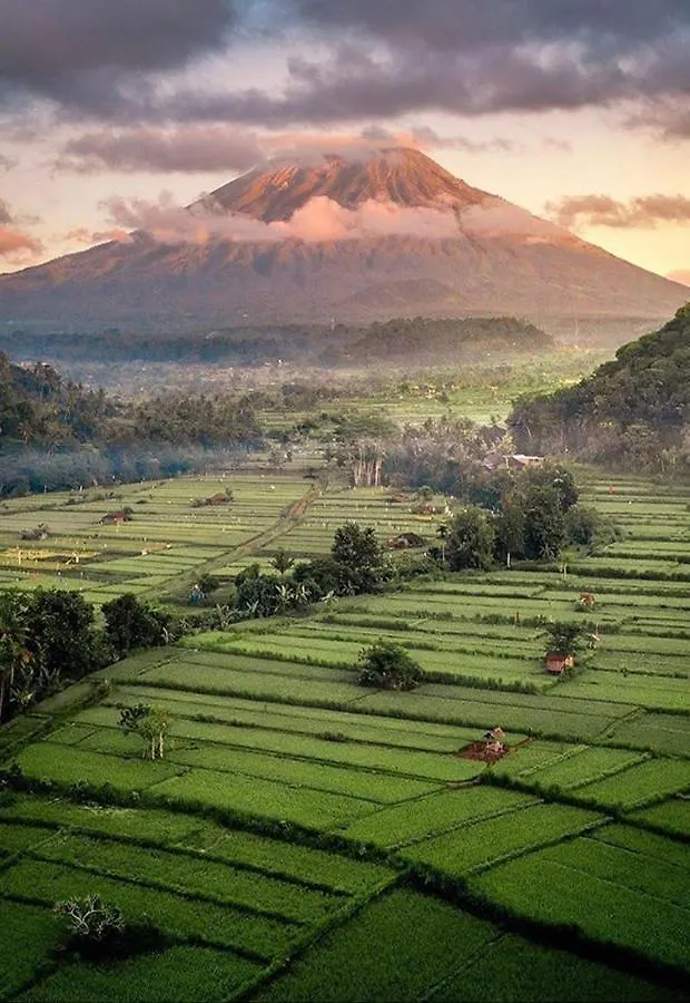 Lod Ubud Villa Indonesia