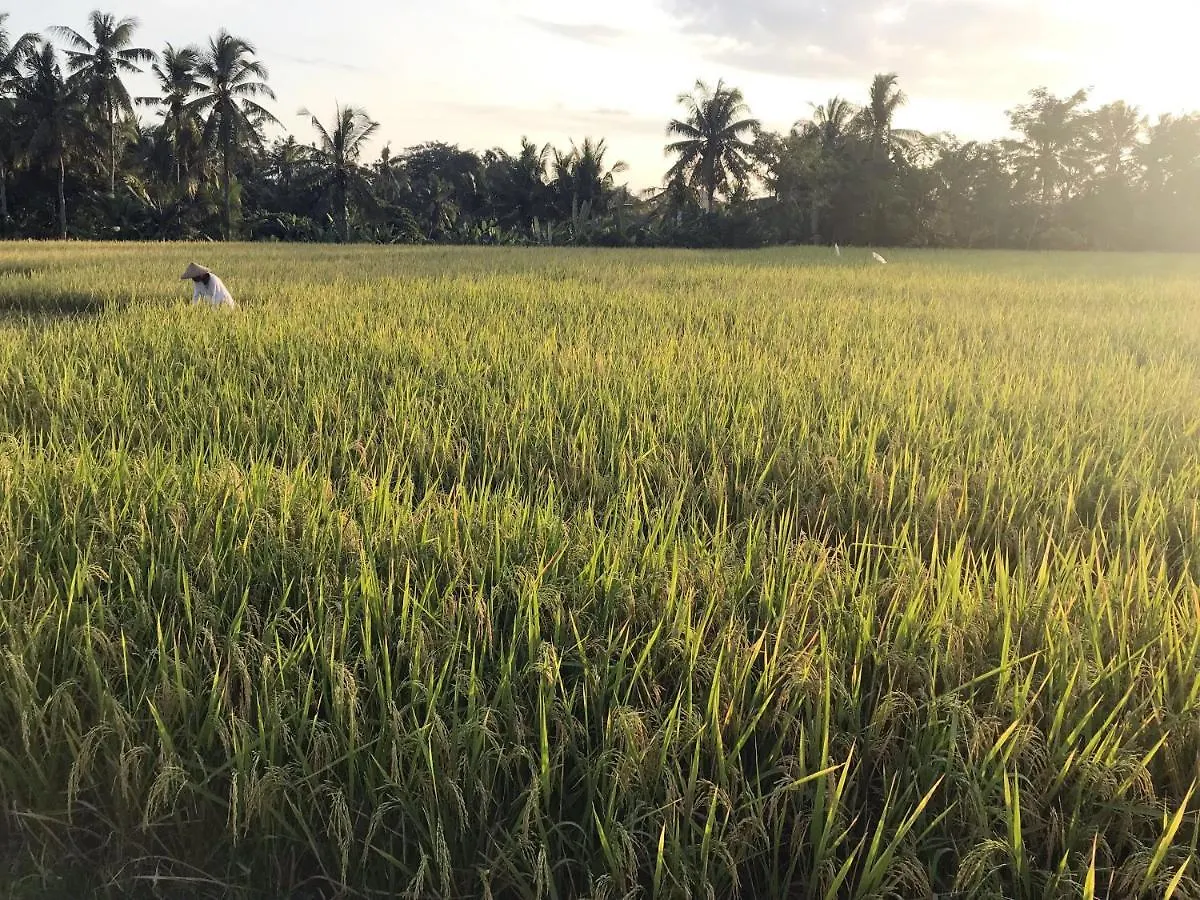 Lod Ubud Villa